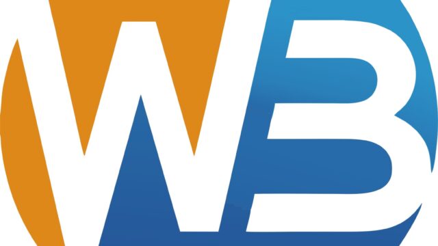 Category 15 Web-Brain-Info-tech