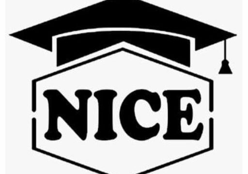 Category 3 niceitservices-logo-512×512-1